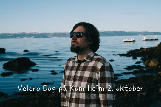 Velcro Dog på Kom Heim